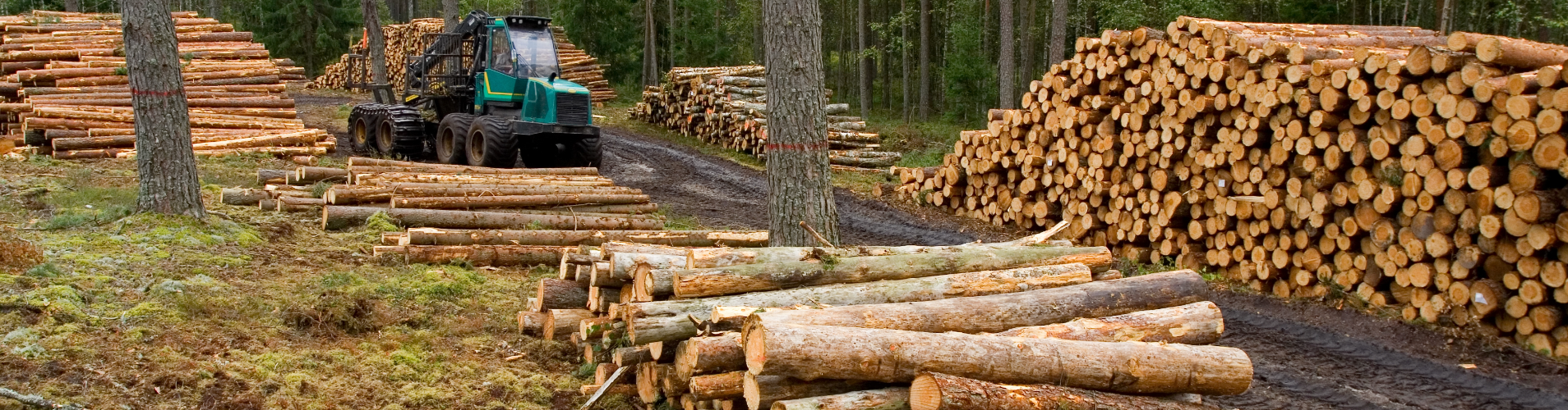Several stacks of logs with equipment in the background.